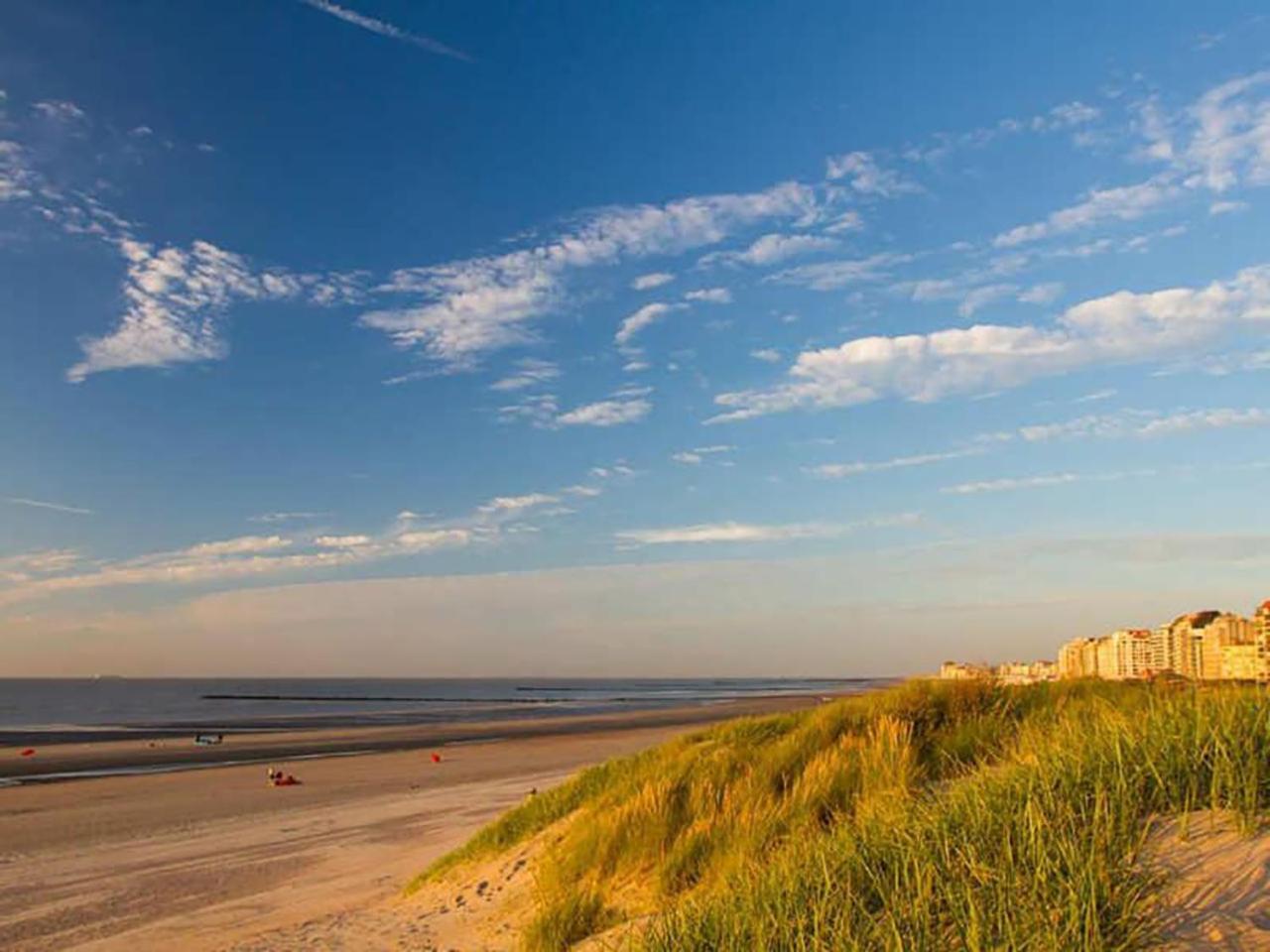 Bed and Breakfast Polderlicht Blankenberge Zewnętrze zdjęcie