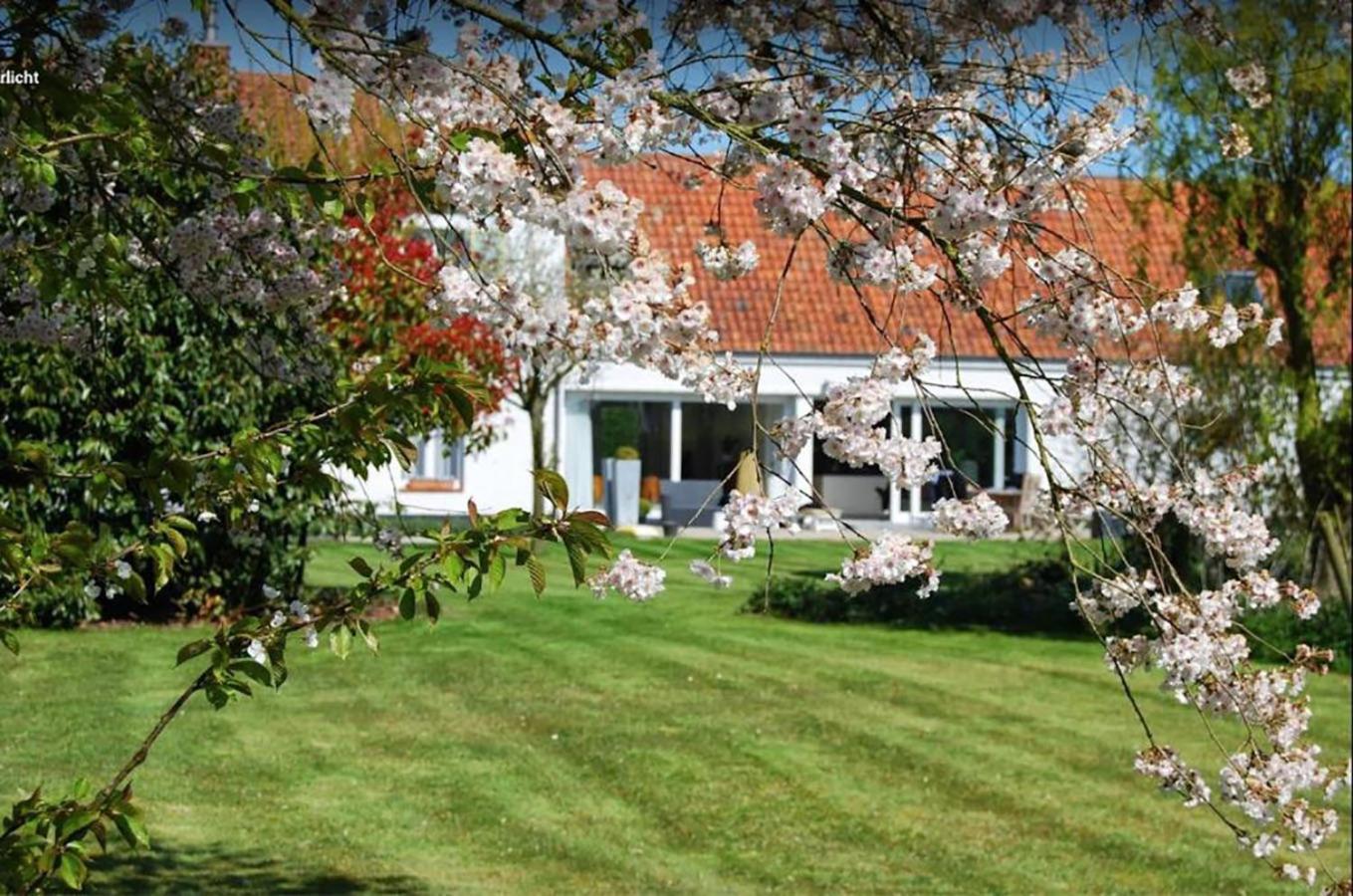 Bed and Breakfast Polderlicht Blankenberge Zewnętrze zdjęcie