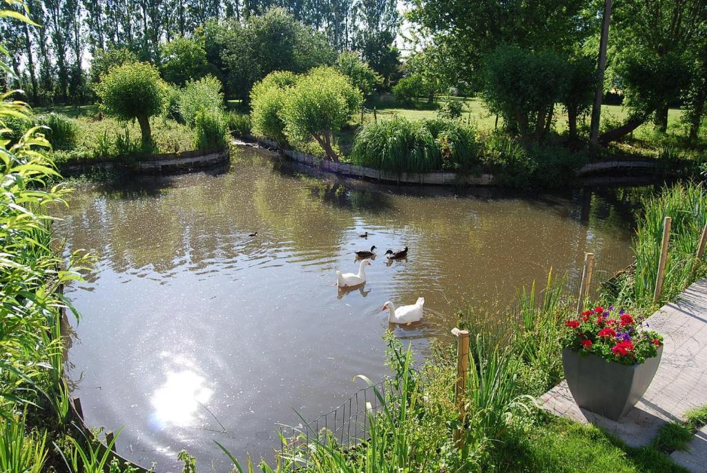 Bed and Breakfast Polderlicht Blankenberge Zewnętrze zdjęcie