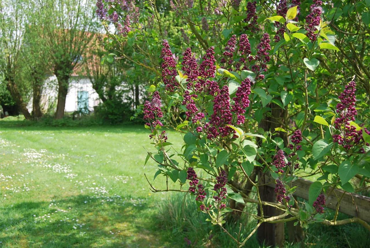 Bed and Breakfast Polderlicht Blankenberge Zewnętrze zdjęcie